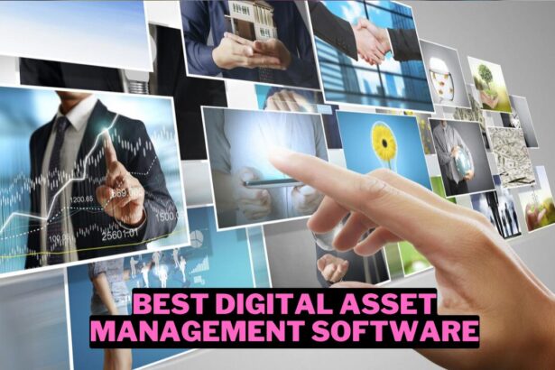 30 Best Digital Asset Management Software (2024) Wowkia Marketing