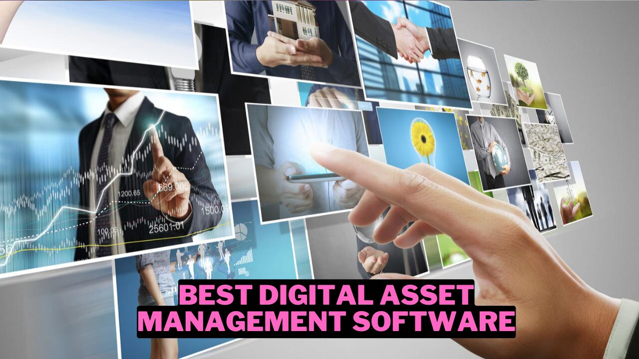 30 Best Digital Asset Management Software (2024) Wowkia Marketing